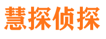 团风调查公司